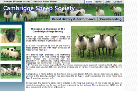 Cambridge Sheep Society website designed by Steven Malley